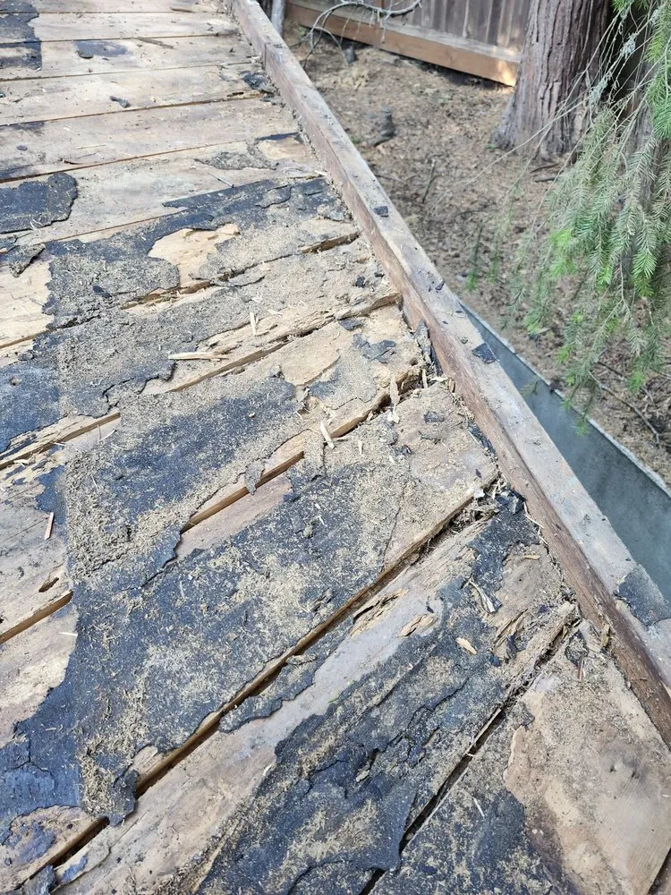 Slide of 2nd Chance Roof and Chimney