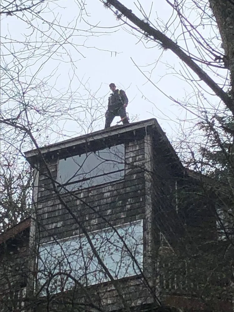 Slide of 2nd Chance Roof and Chimney