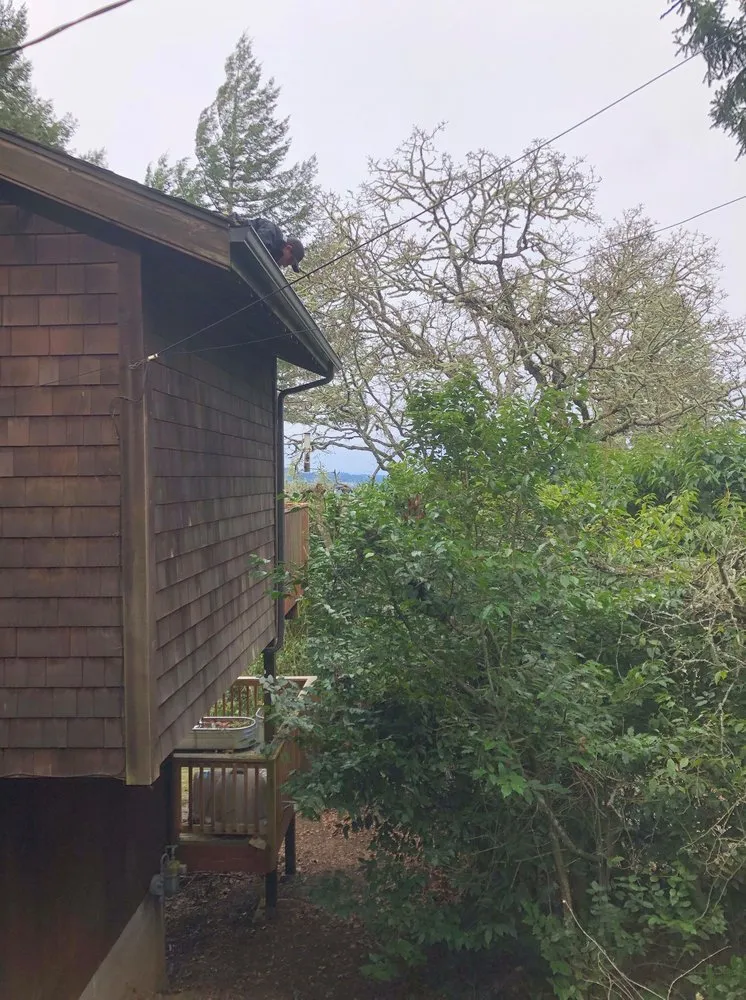 Slide of 2nd Chance Roof and Chimney
