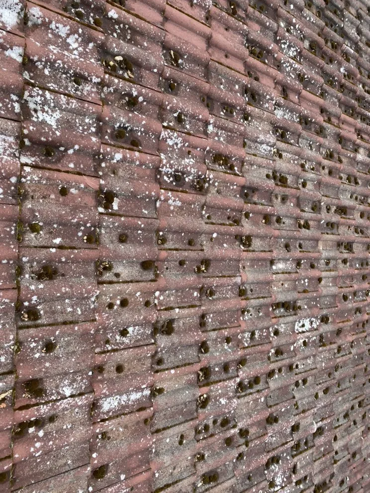 Slide of 3 Guys On A Roof