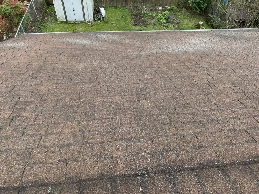 Slide of 3 Guys On A Roof
