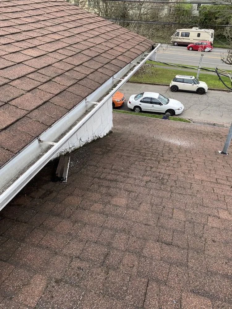 Slide of 3 Guys On A Roof