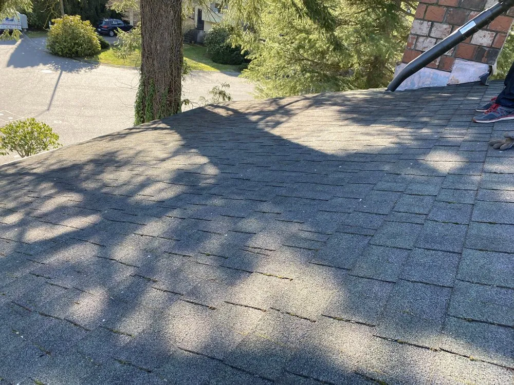 Slide of 3 Guys On A Roof