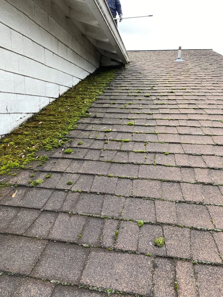 Slide of 3 Guys On A Roof