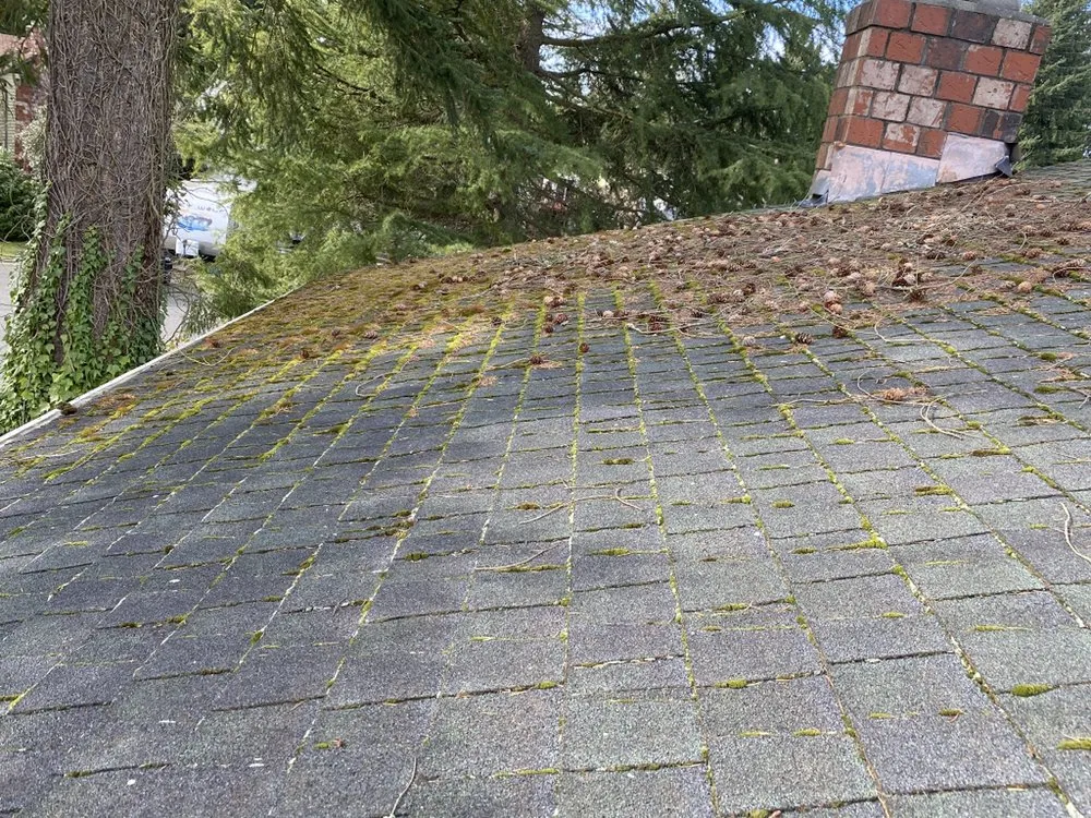 Slide of 3 Guys On A Roof