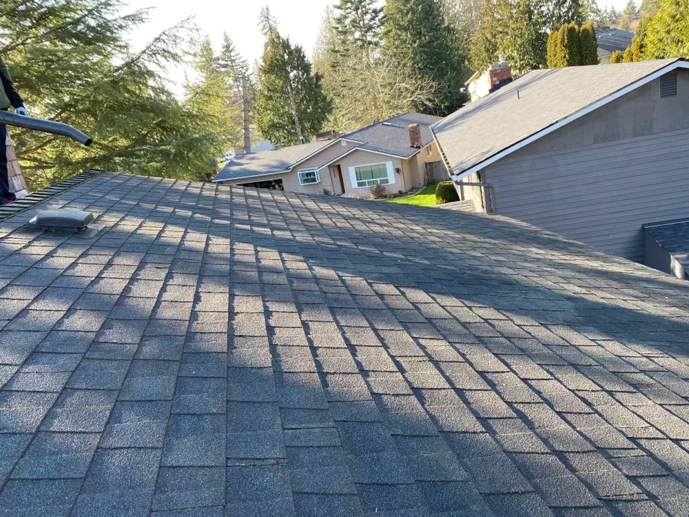 Slide of 3 Guys On A Roof