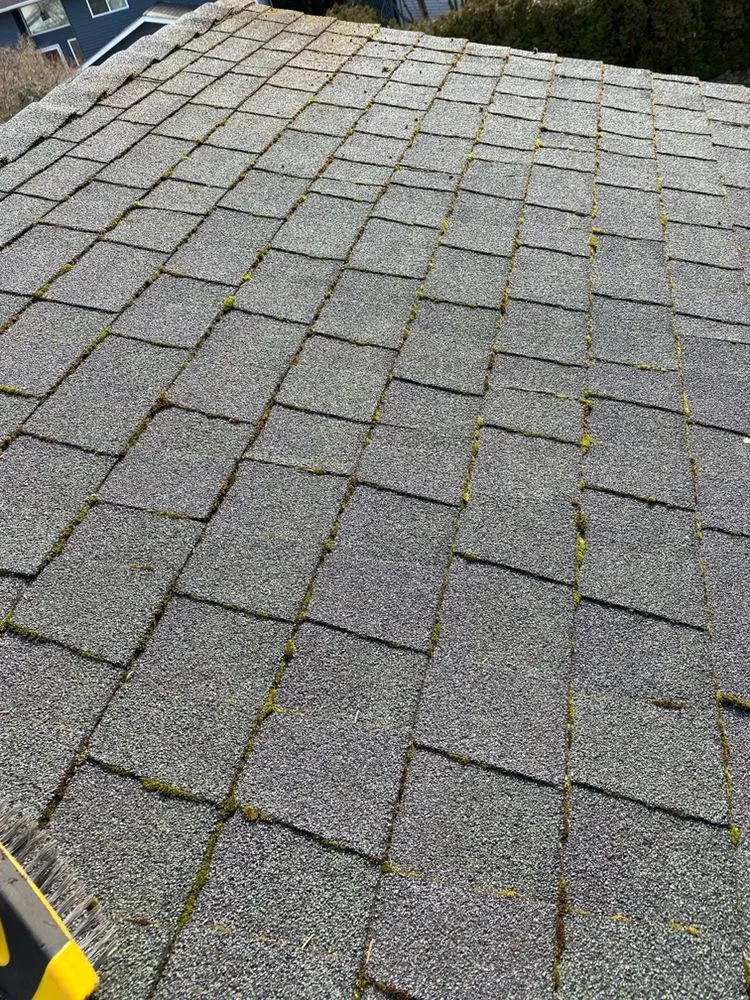 Slide of 3 Guys On A Roof