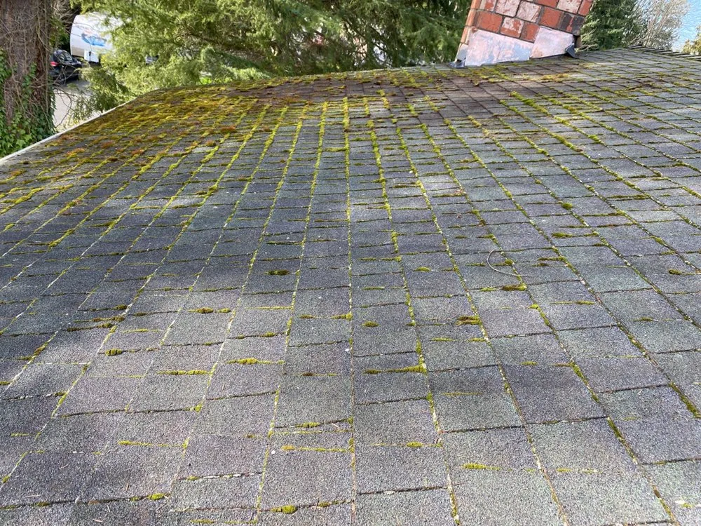 Slide of 3 Guys On A Roof