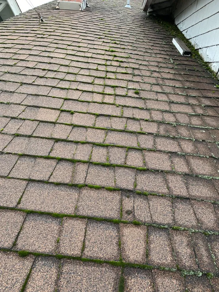 Slide of 3 Guys On A Roof