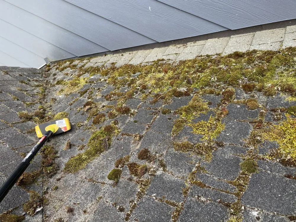 Slide of 3 Guys On A Roof