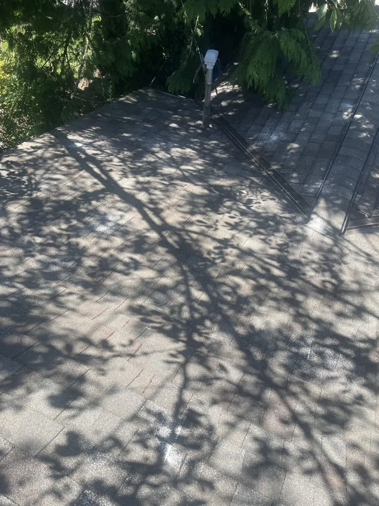 Slide of 3 Guys On A Roof