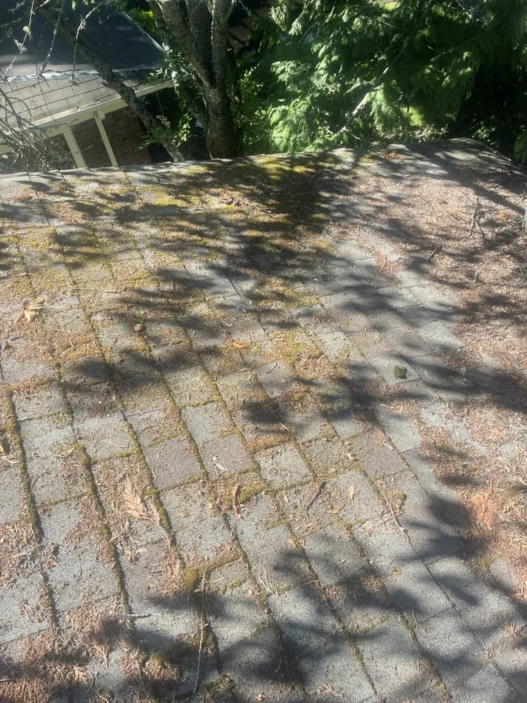 Slide of 3 Guys On A Roof