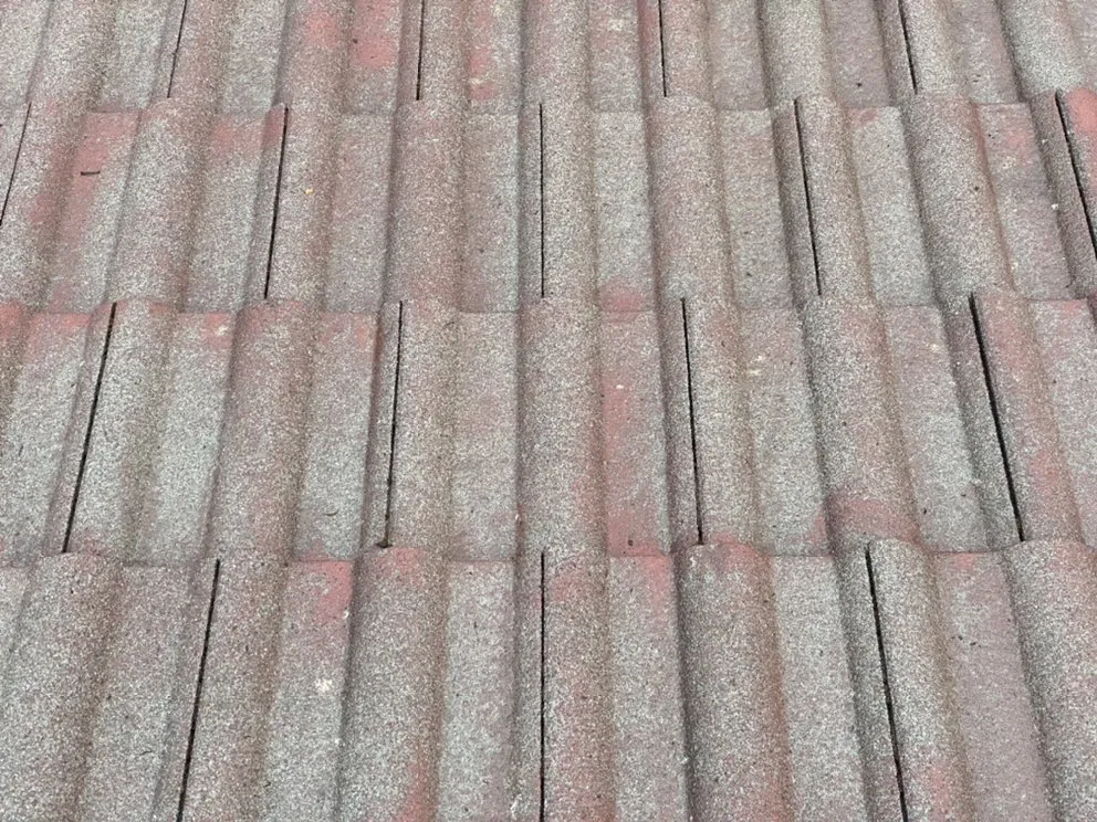 Slide of 3 Guys On A Roof