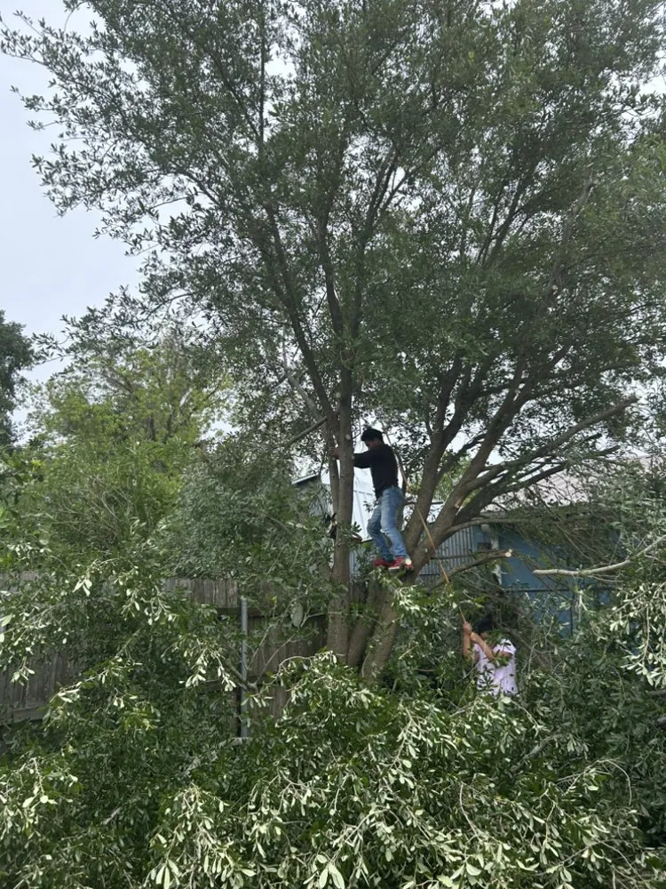 Slide of 3 Kings Construction