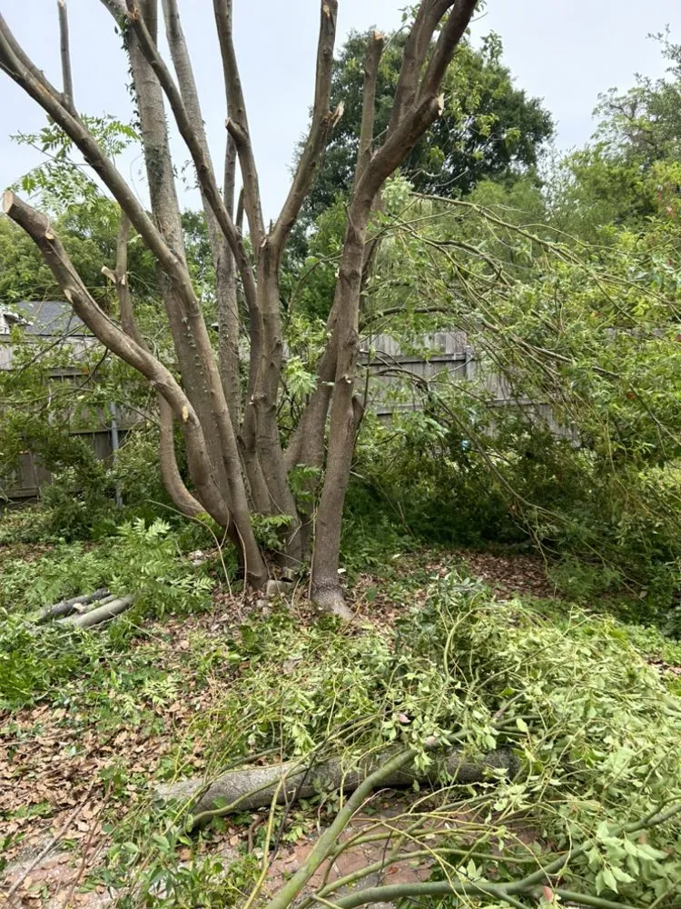 Slide of 3 Kings Construction