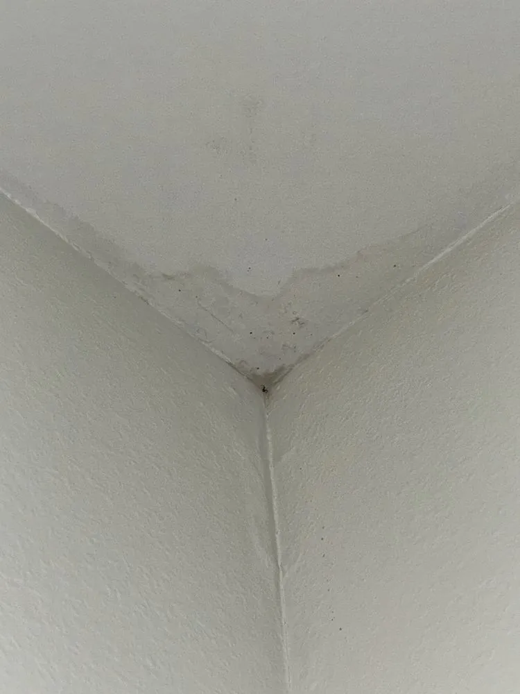 Slide of 3 Kings Roofing