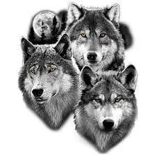 Slide of 3 Wolves Roofing