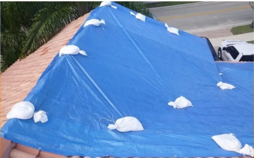 Slide of 305 Roof Tarps
