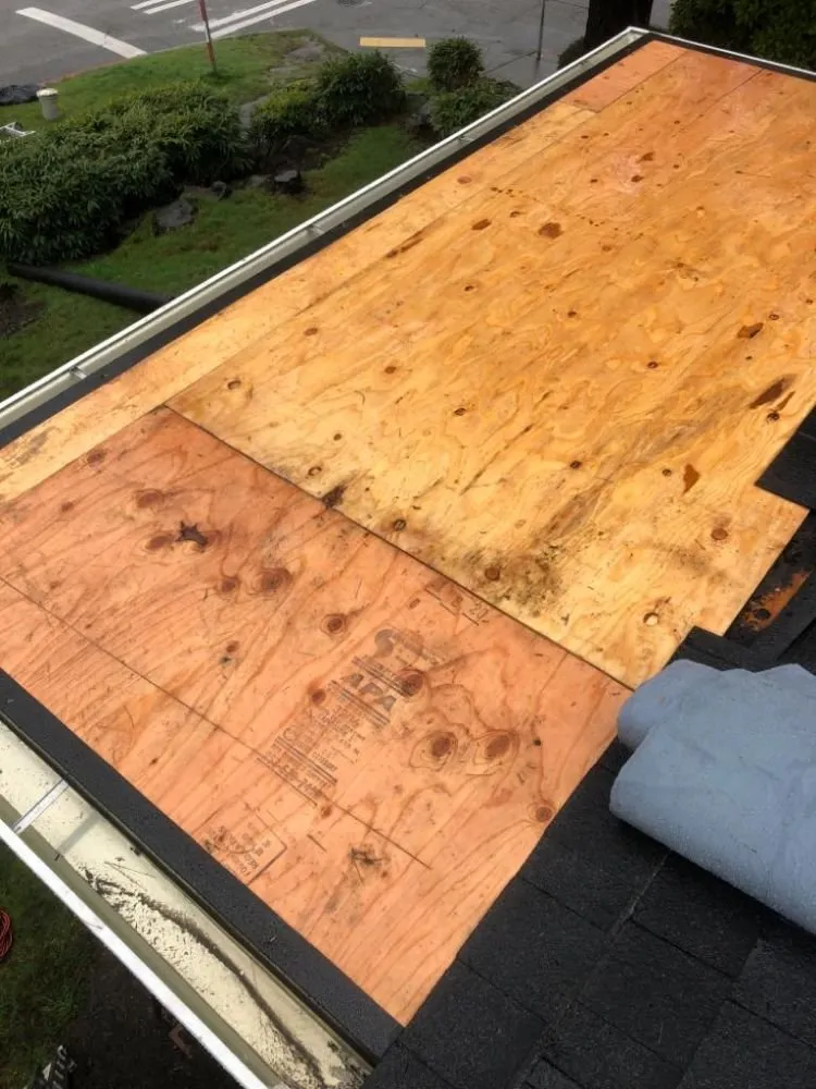 Slide of 360 House Care