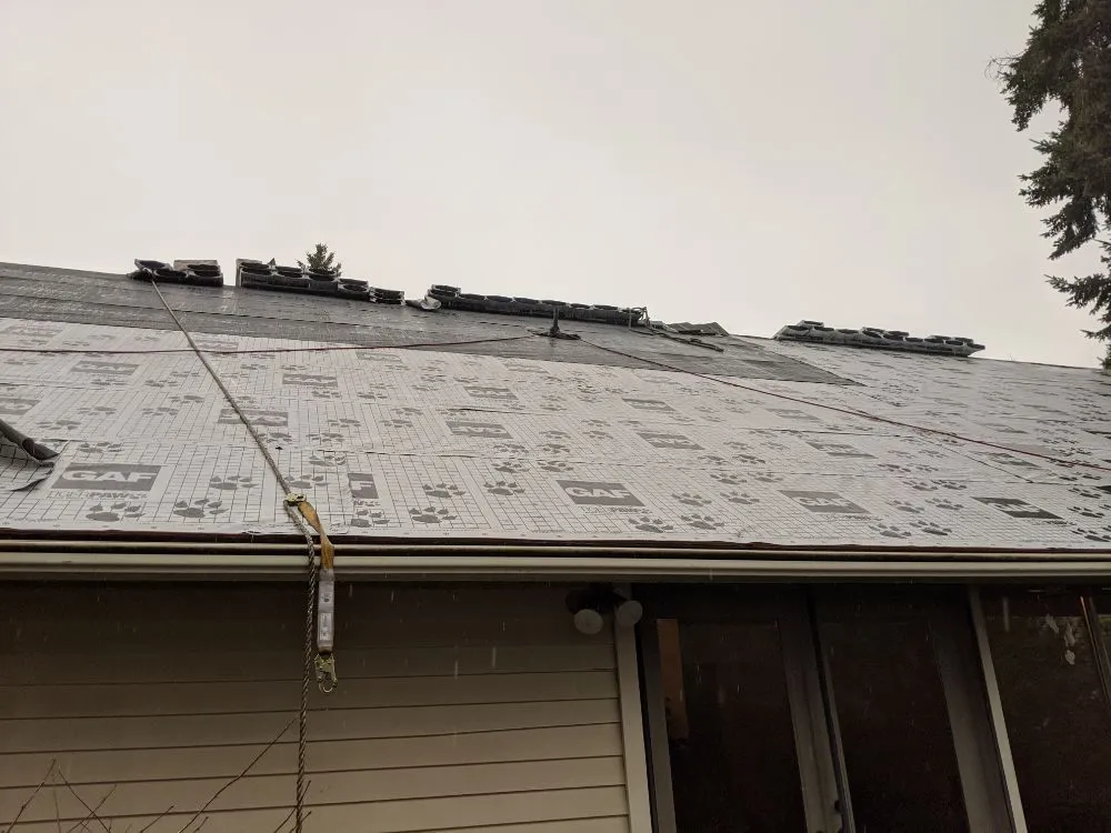 Slide of 360 House Care