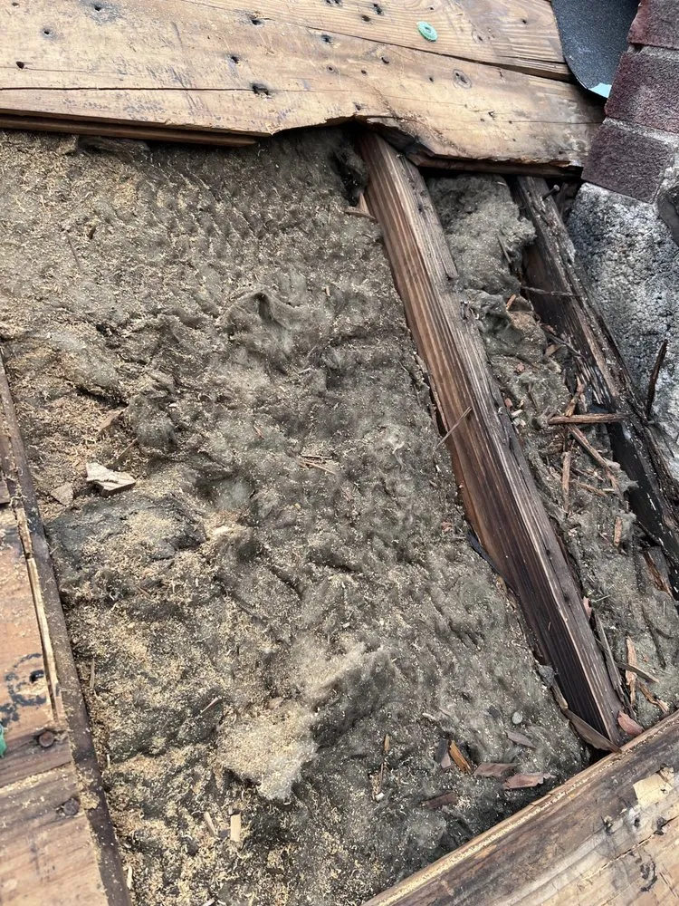 Slide of 3AJ Precision Construction