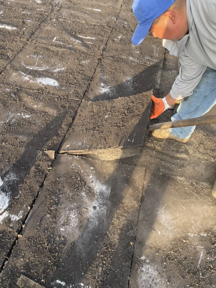 Slide of 4 Everdry Roofing & Tuckpointing