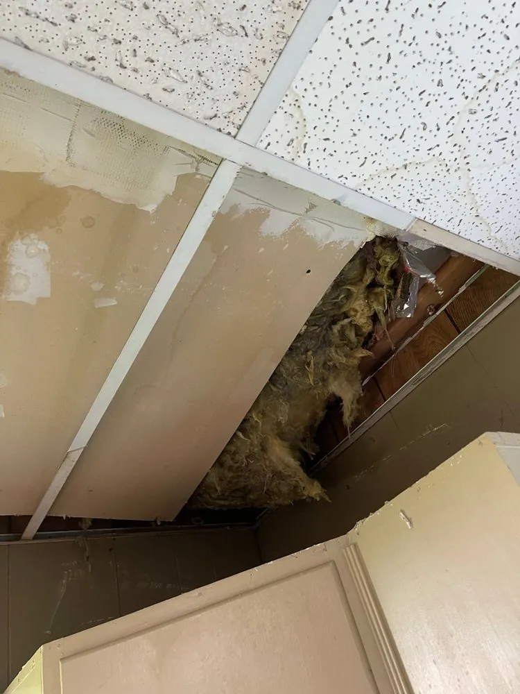 Slide of 4 Guys And A Roof