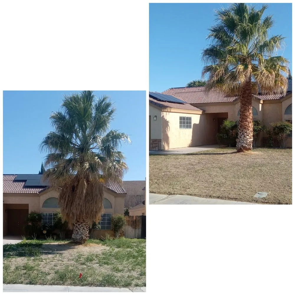 Slide of 4 Home Repairs