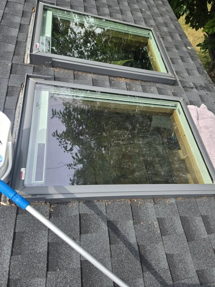 Slide of 4 Paws Outdoor Service