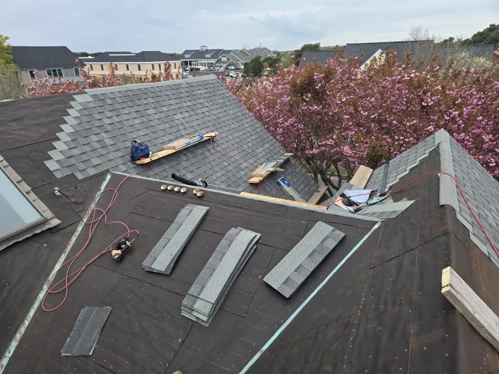 Slide of 4 Paws Outdoor Service