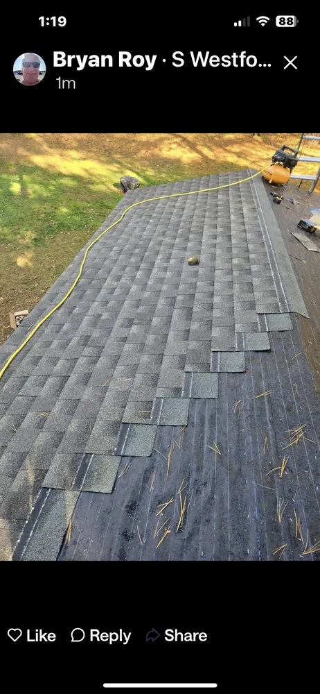 Slide of 4 Paws Outdoor Service