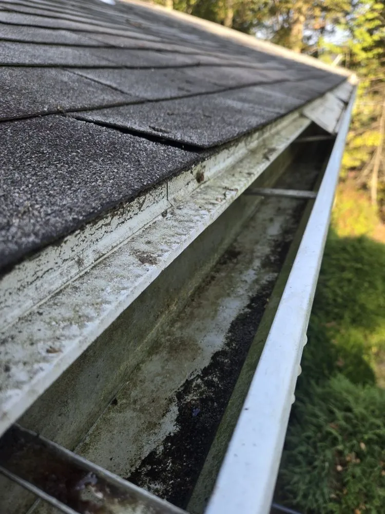 Slide of 4 Paws Outdoor Service