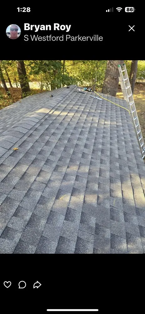 Slide of 4 Paws Outdoor Service