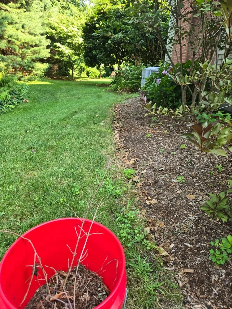 Slide of 4 Paws Outdoor Service