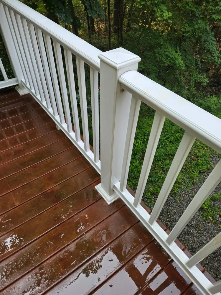 Slide of 4 Paws Outdoor Service