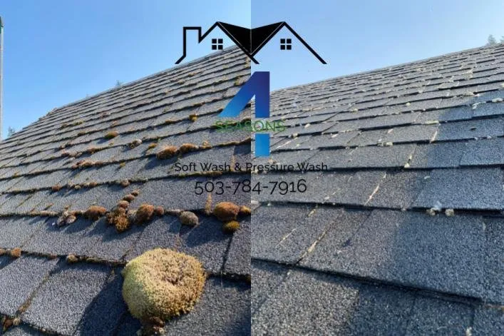 Slide of 4 Seasons Soft Wash & Pressure Wash