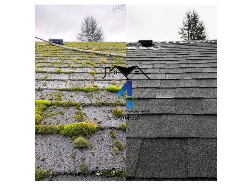 Slide of 4 Seasons Soft Wash & Pressure Wash