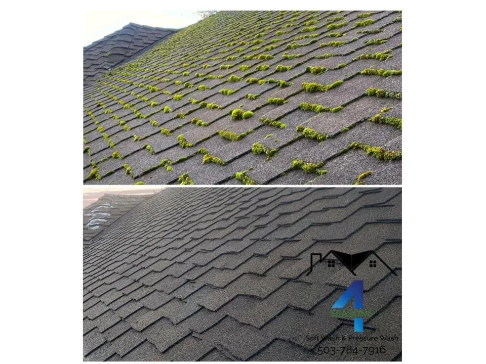 Slide of 4 Seasons Soft Wash & Pressure Wash