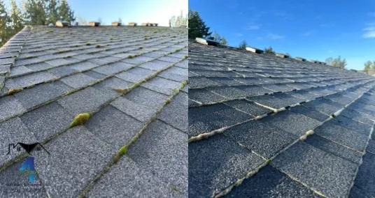 Slide of 4 Seasons Soft Wash & Pressure Wash