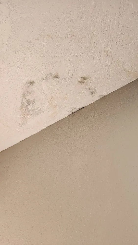 Trusted flat roof repair experts serving Fairfield, MT - 4 U Construction