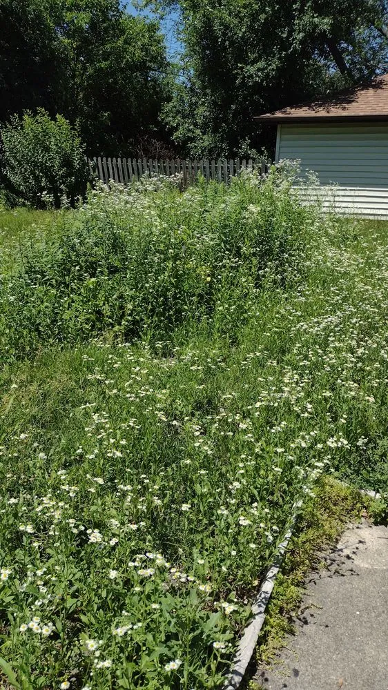 Slide of 414 You Invest Services Group