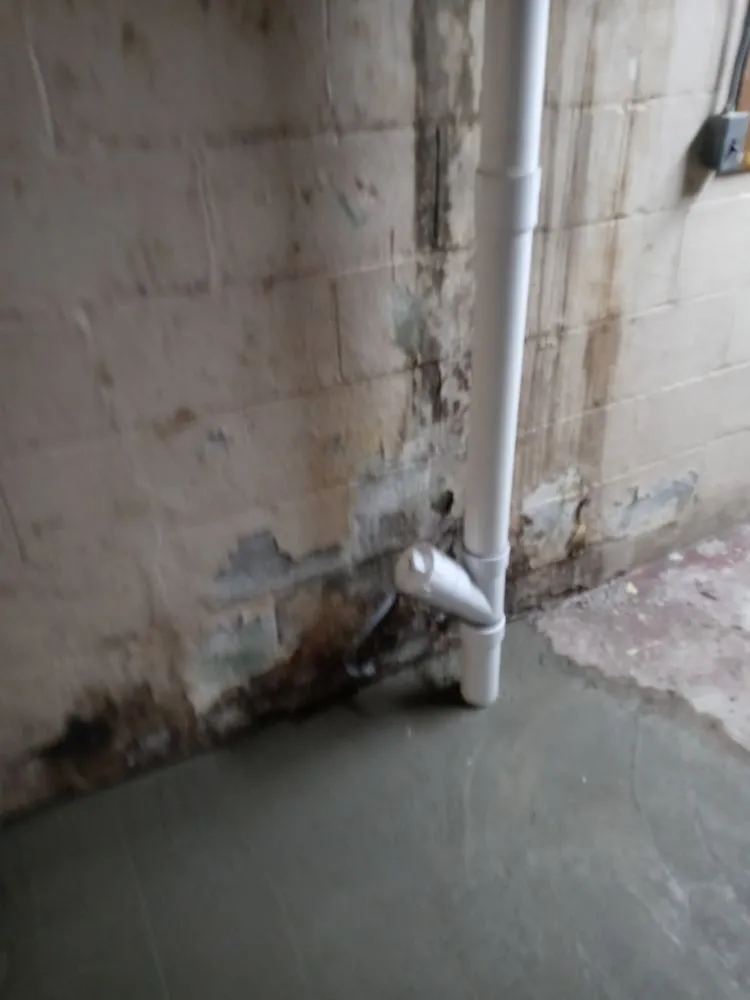 Slide of 419 Home Repair