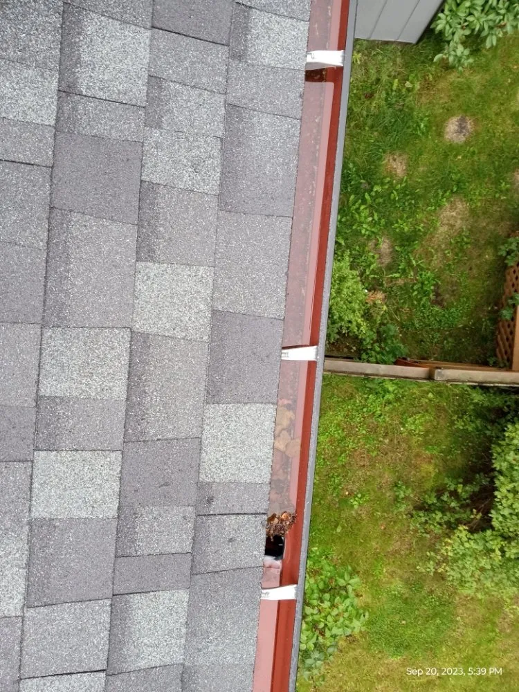 Slide of 49th State Construction