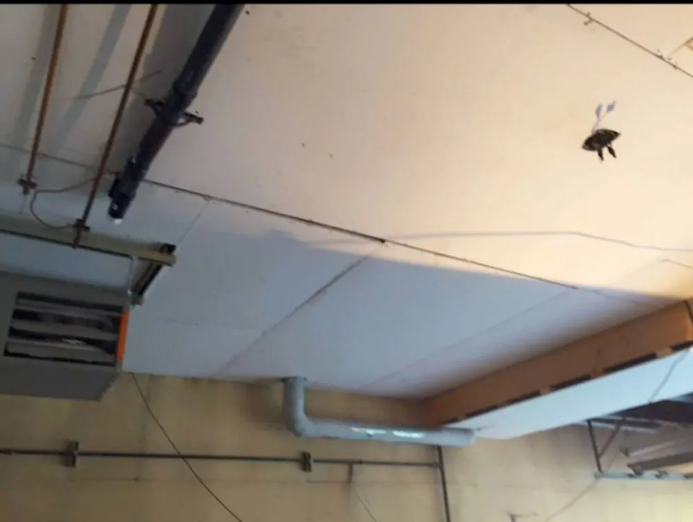 Slide of 49th State Construction