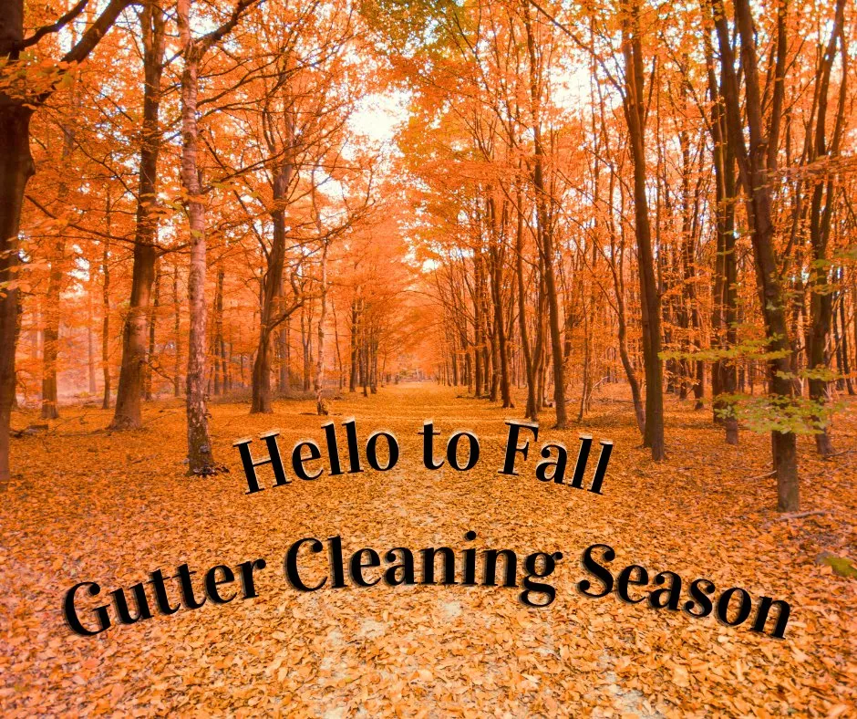 Slide of 4Ever Clean