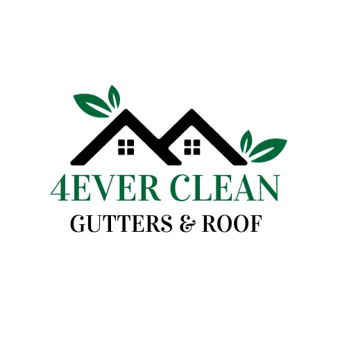 Slide of 4Ever Clean