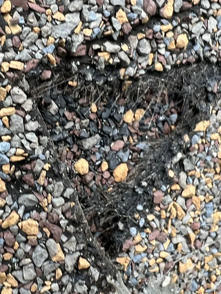 Slide of 4K Construction