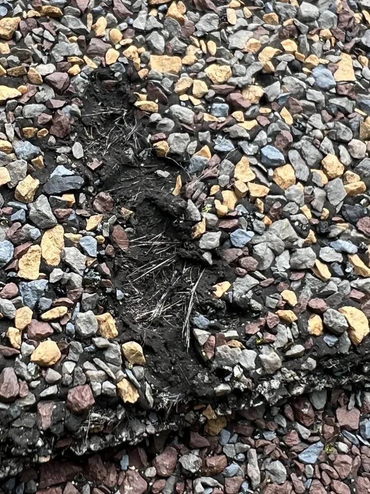 Slide of 4K Construction