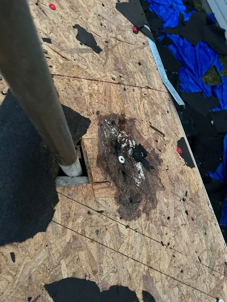 Slide of 4Pro Roofing