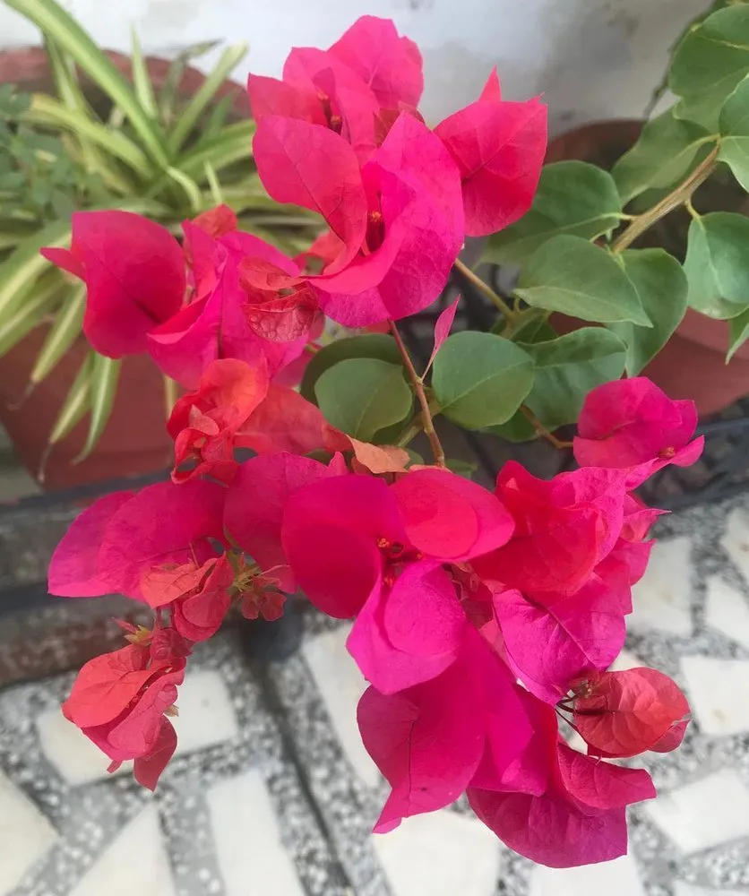 Slide of 5 River Roofing